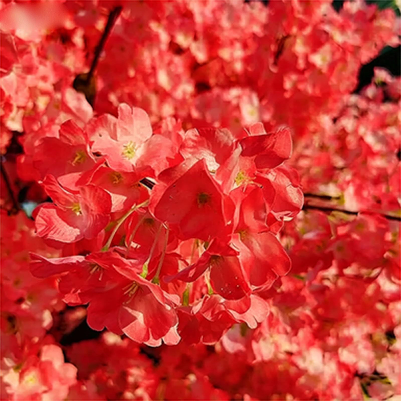 Künstlicher Kirschblütenbaum Pfirsich Baum Simulation Pflanzen Wunschbaum künstliche Kirschblüten Kunstpflanzen for Büro Wohnzimmer Party Hochzeit Decor,003,250 * 250cm/98.4 * 98.4in