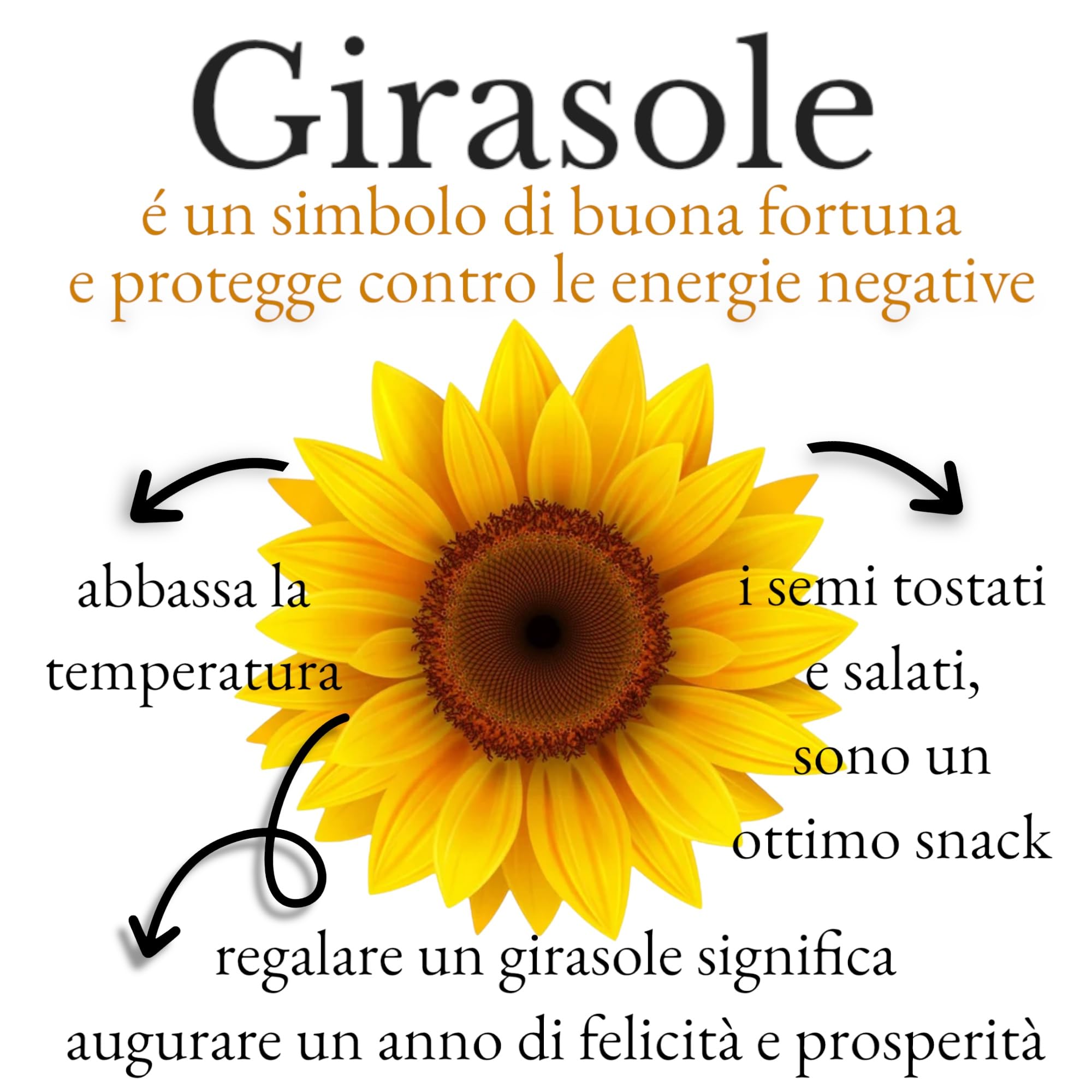 Generico Lápiz plantable VALUE PACK - Paquete de 10 (10 girasoles)