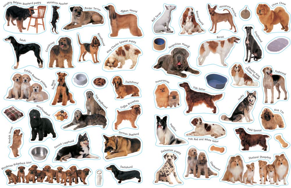 Ultimate Dog Sticker Book with 100 Amazing Stickers: Learn All About Dogs and How They Behave - with Fantastic Reusable Easy-To-Peel Stickers - Image 4