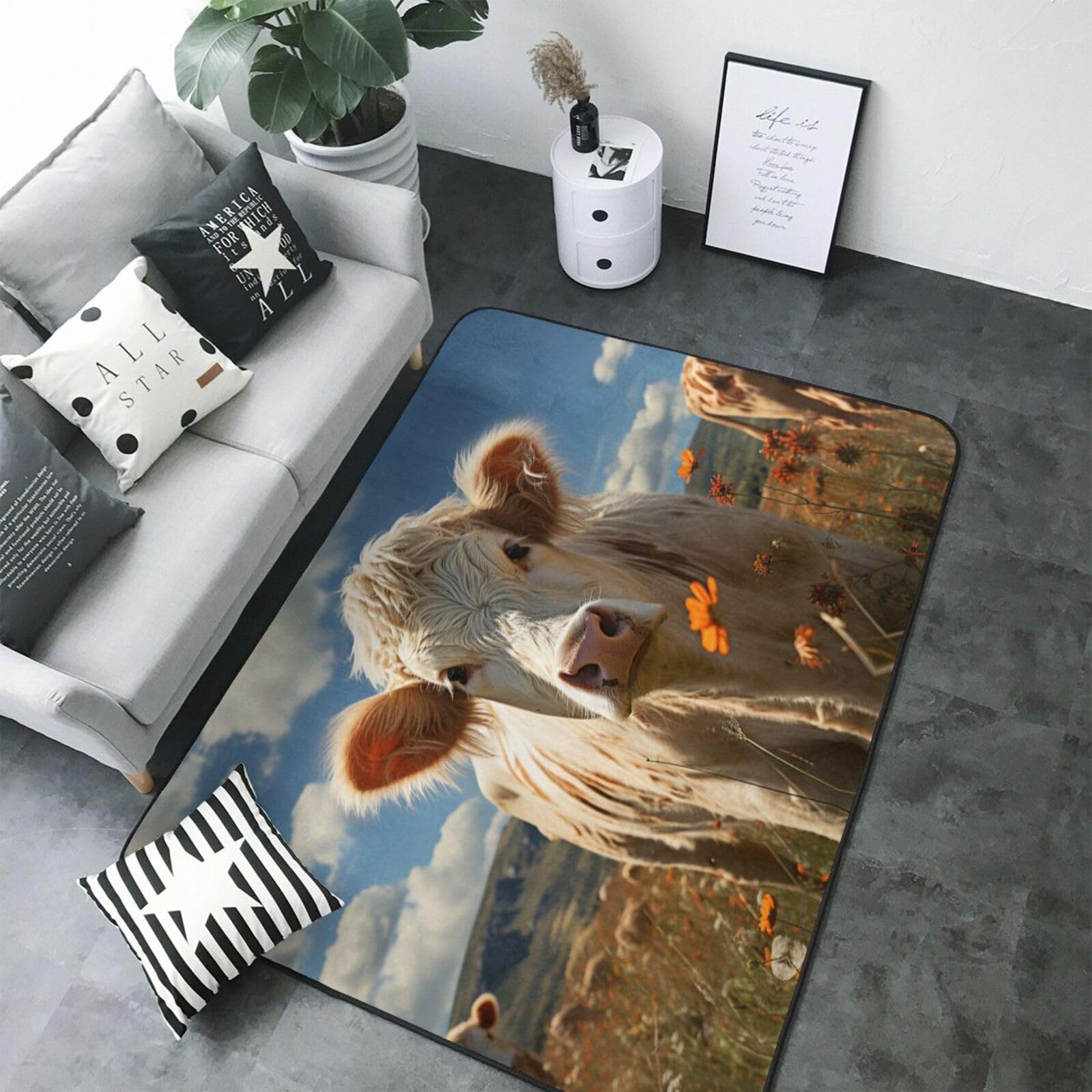 Tapis lavable pour chambre en finir avec la poussière et les taches de café