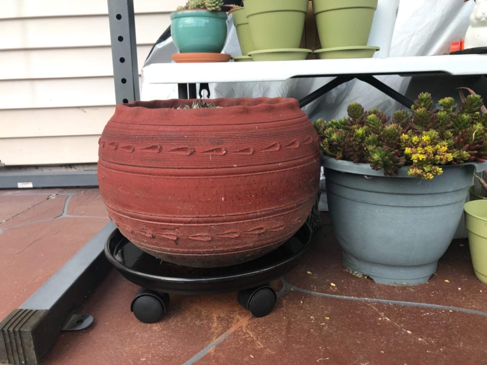 Coadura Plant Caddy with Wheels 15.5 Inch 2 Pack Plant Caddy on