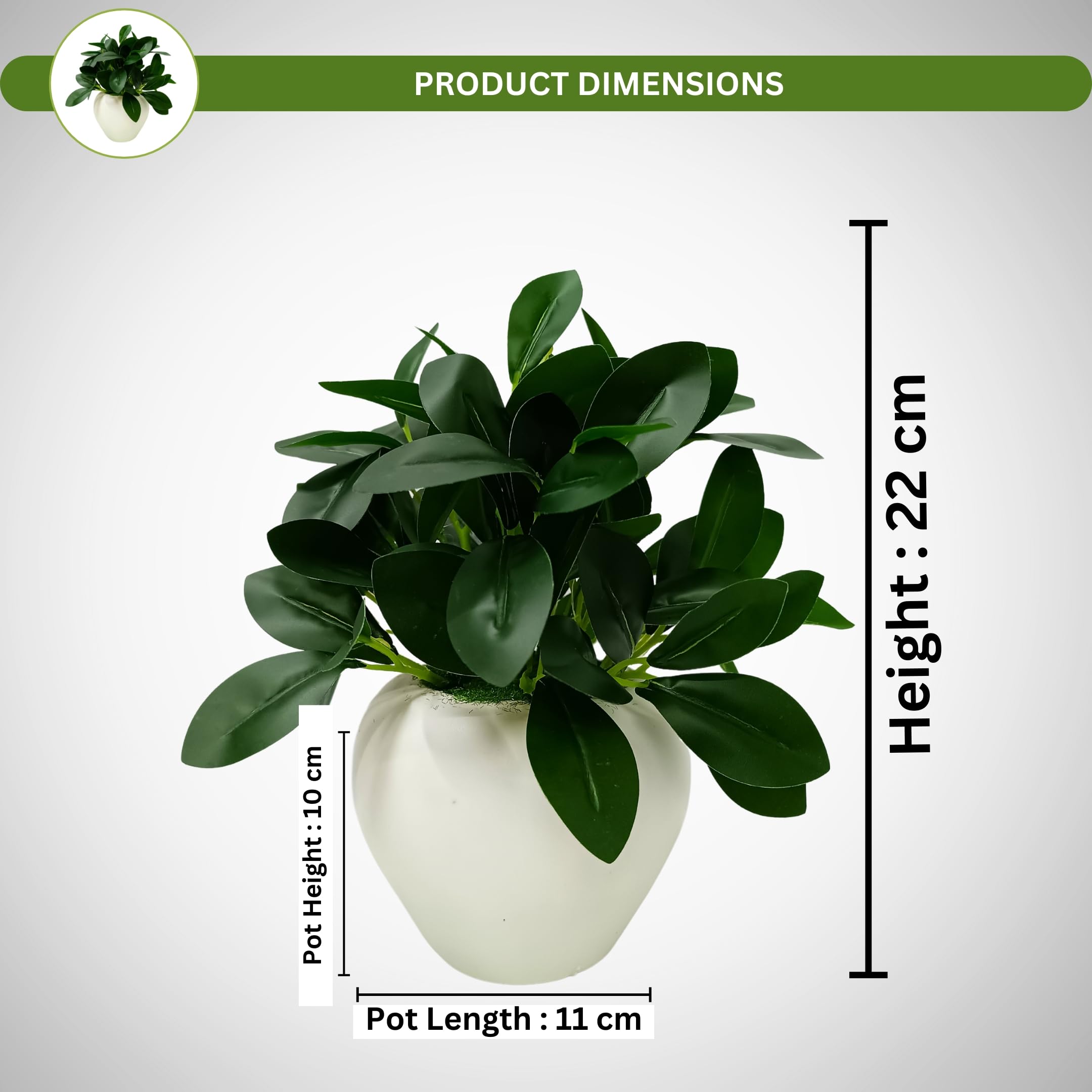 fancymart Artificial Rubber Plant in 4 Inch White Apple Pot (22 cm Height) – Realistic Green Decorative Plant for Home Decor, Living Room, Office Desk & Interior Decoration 2
