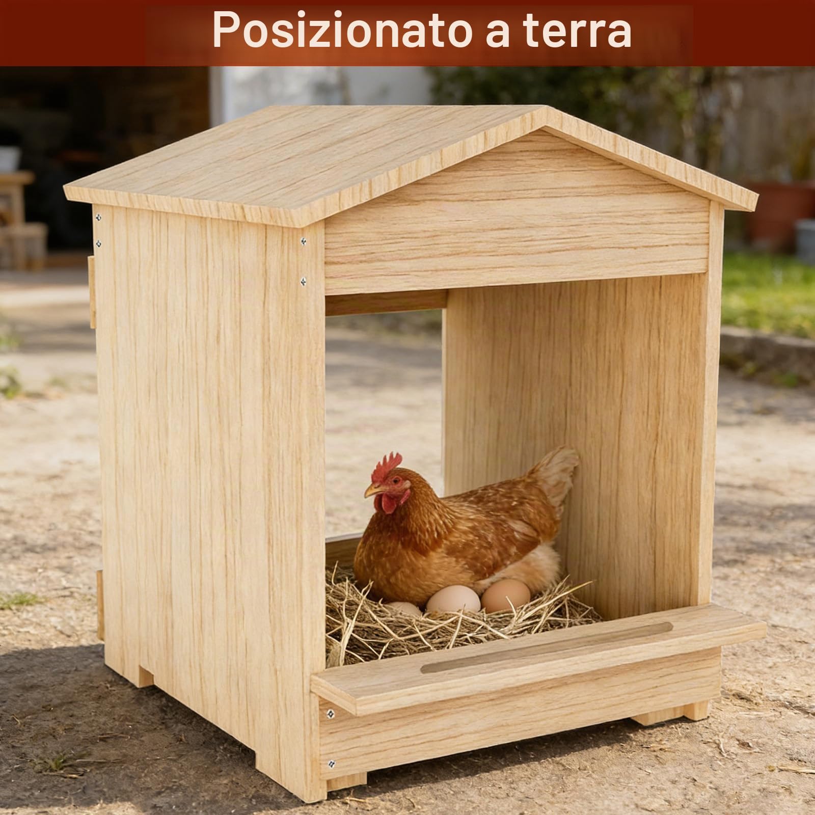 Cassetta Per Galline Ovaiole, 30,5 x 29 x 38,5 cm | Nidi Per Galline Da Parete, Accessori in Legno Per Pollai, Uccelli e Anatre