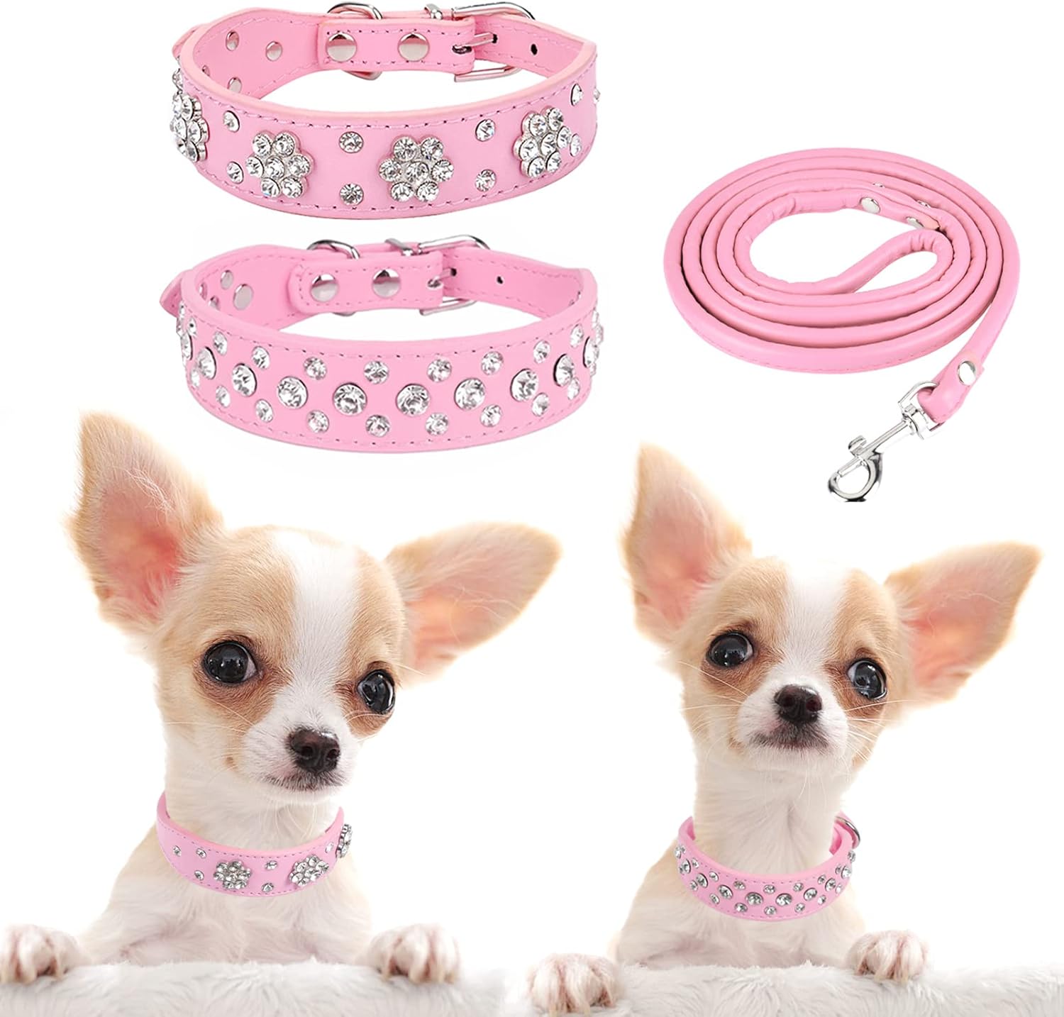 Dog Collar and Leash Set for Small Dogs Chihuahua Collar