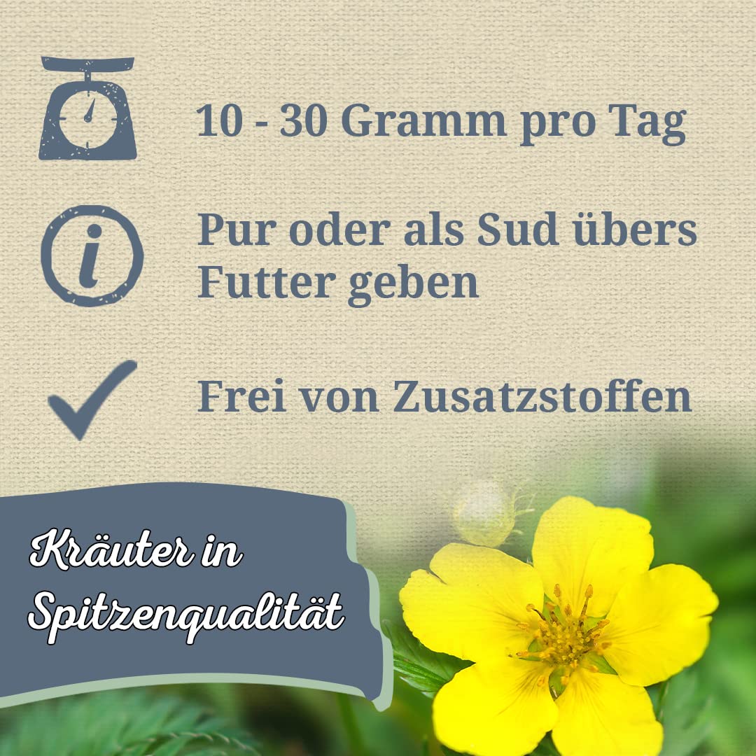 Krauterie Gänsefingerkraut für Pferde, geschnitten (1000 g)