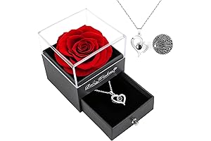 Eternal Rose with I Love You Necklace in 100 Languages: A Timeless Token of Love