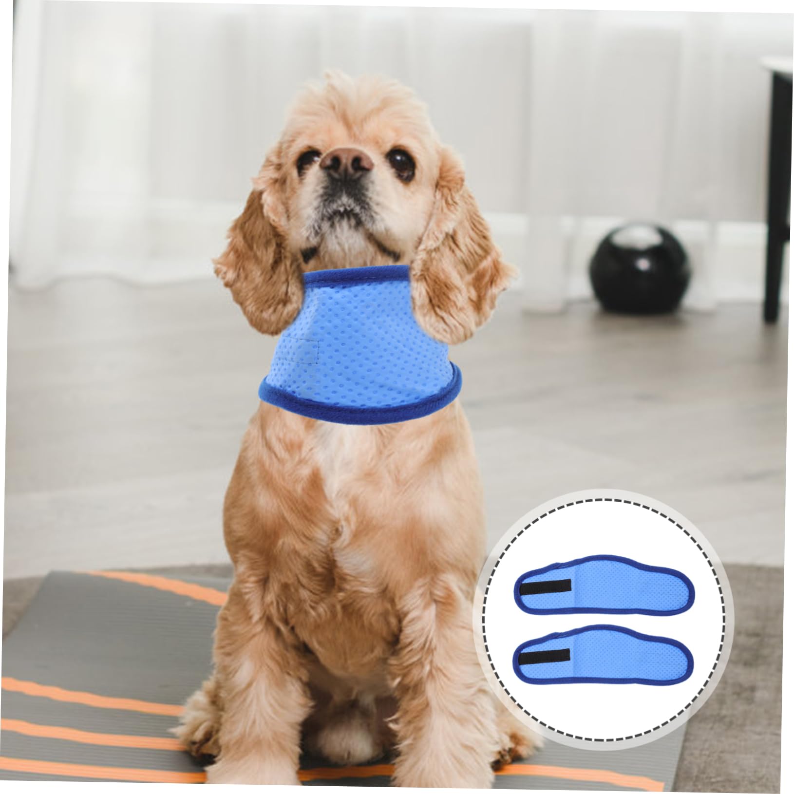 Sosoport 6stücke Pet Kühlhalsband Atmungsaktives Selbstkühlendes Material Für Hunde Kühlung Für Heiße Sommertage Für Kleine Bis Mittelgroße Haustiere