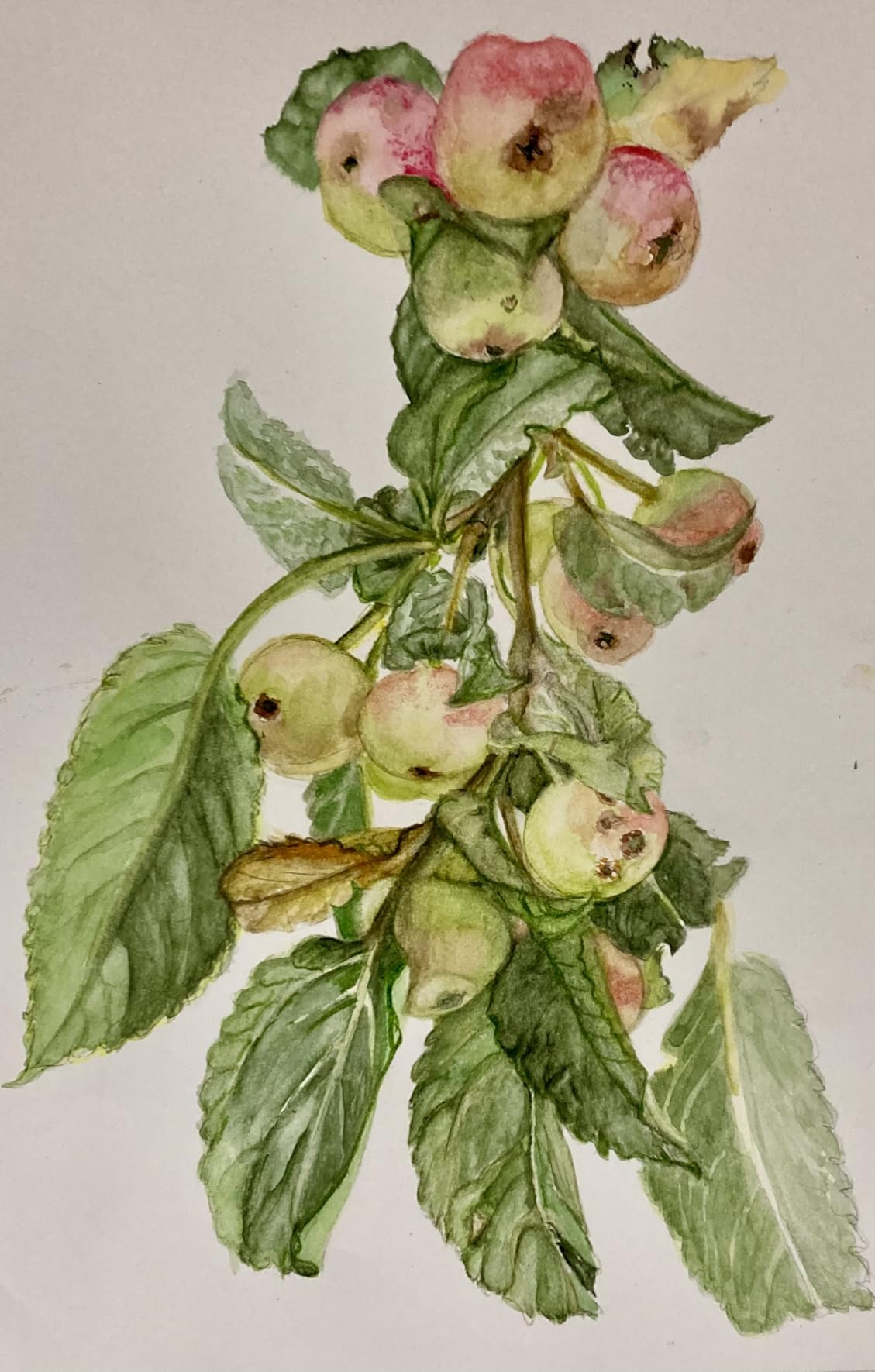 ZZONEART 96 Watercolour Pencils Drawing Art Set With Large Pencils Case