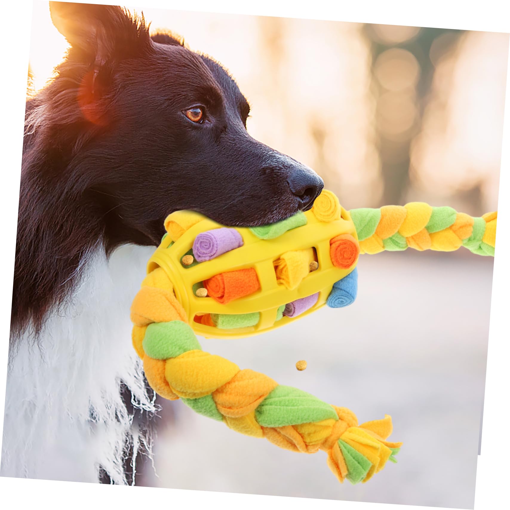 Toyvian Jouet à Renifler pour Chien Balle à Friandises Interactive Encourage La Recherche De Nourriture Mangeoire pour Entraînement