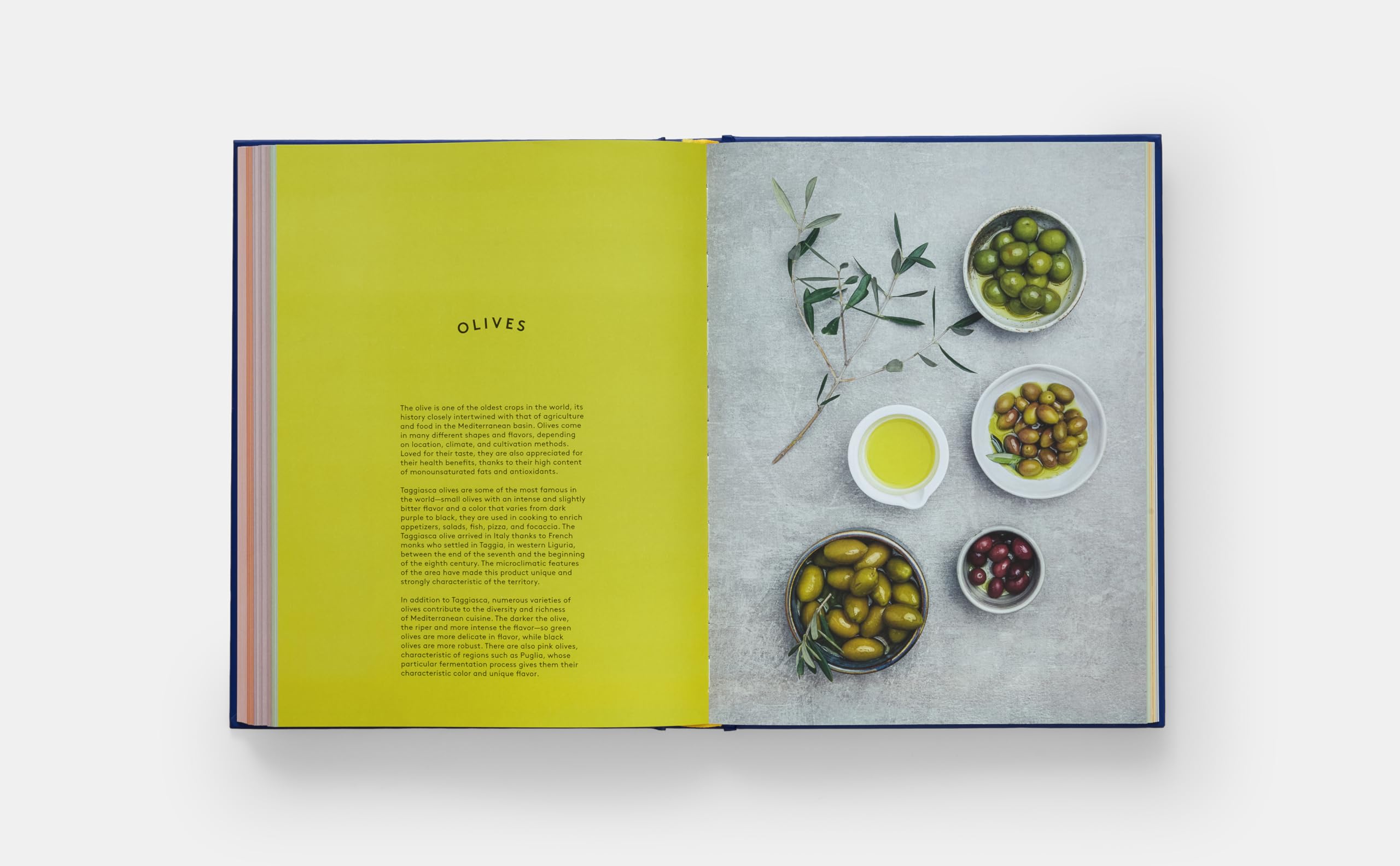The book of pasta
