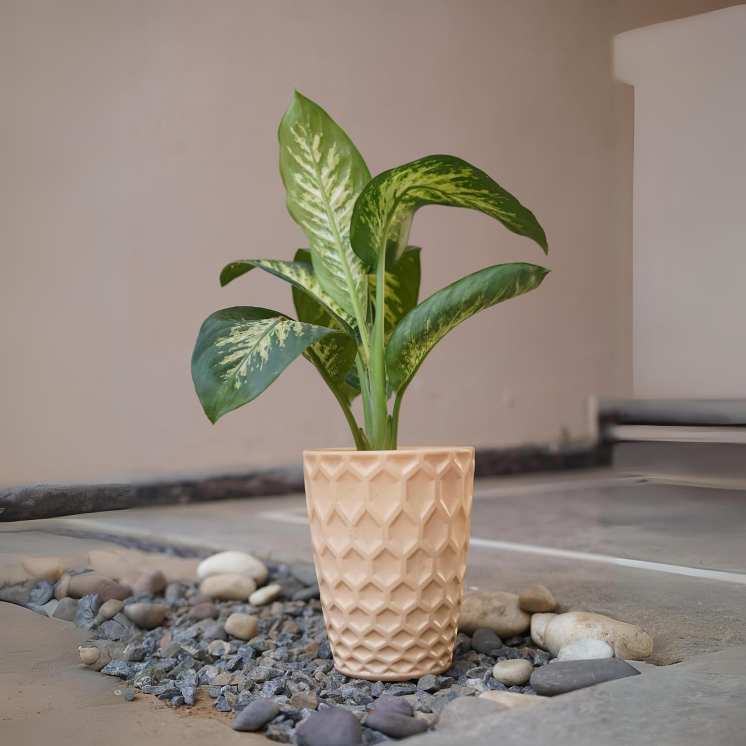 MRIDA & MAATI Premium plastic pots for Indoor and Outdoor Office