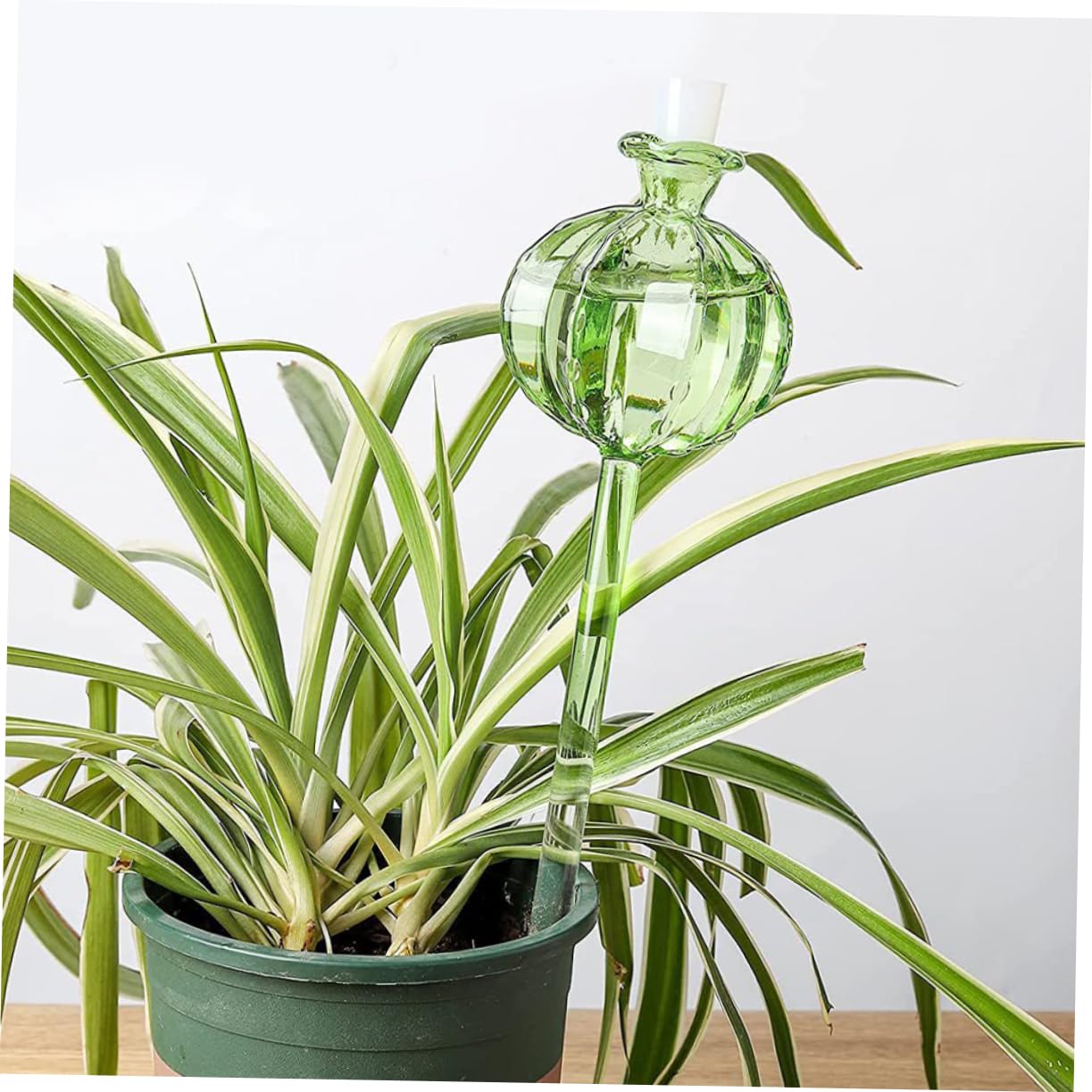 ibasenice Globes D'arrosage Automatique Forme Cactus Système Décoratif et Hydratation Continue Lot de 4 en Verre Borosilicate Vert pour Plantes et Bonsaïs