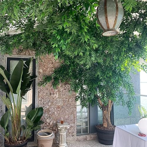 Kimbovillea 48Pcs Bulk Package - Artificial Ficus Leaves Real Touch Ruscus Foliage Mini Bay Leaf Spray For Floral Displays Faux Flower Arrangement Filler Greenery Decor For Home Outdoor (Green) #TOP5