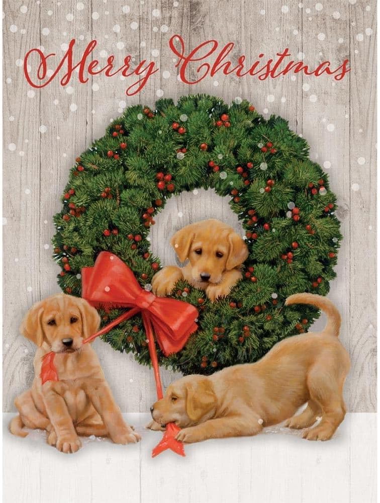 Lang, Wonder and Joy Boxed Christmas Cards (18 pack) w/Decorative Box by Jim Lamb