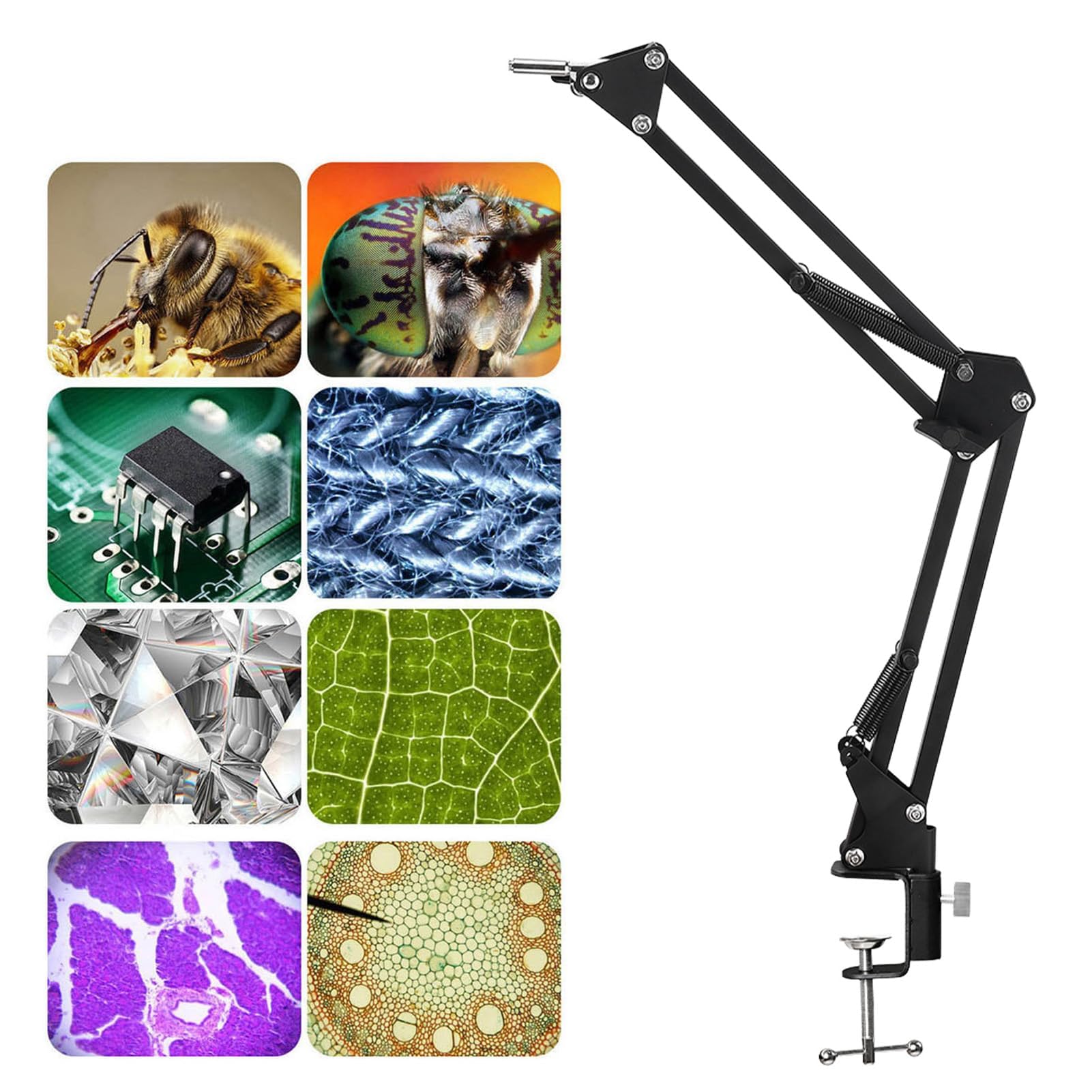 Soporte de Brazo Articulado para Microscopio con Rotación 360° y Ajuste de Altura para Laboratorio e Industrial