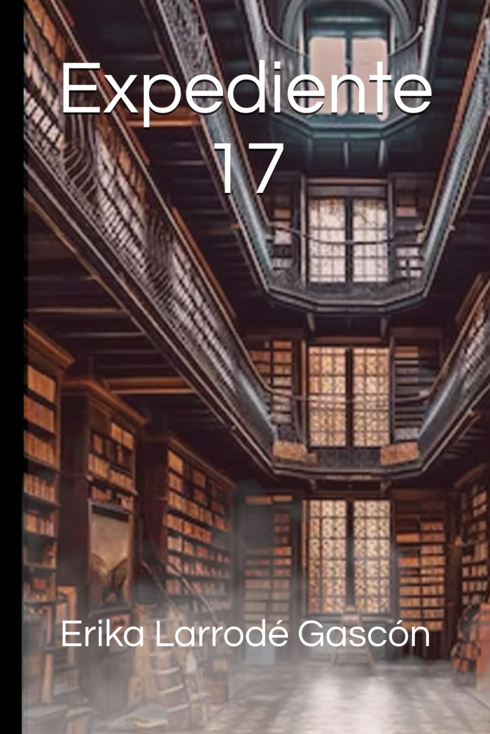 Expediente 17