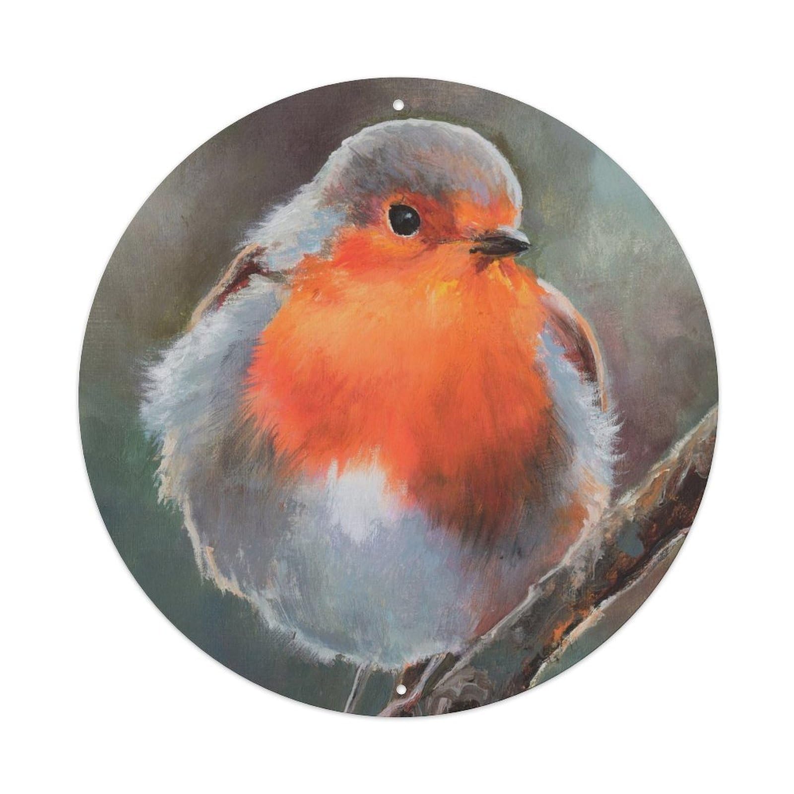 Animal Artwork Cute of Robin Bird Vintage Metal Tin Sign Plaque Wall Decor for Cafe, Club, Garden Round Metal Poster 8x8Inch