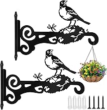 2PCS Wall Hooks for Hanging Pots, 25cm Plant Stand, Planter Hook with Screws, Outdoor Hanging Planter Holder, for Hanging Plants/Lamp/Basket