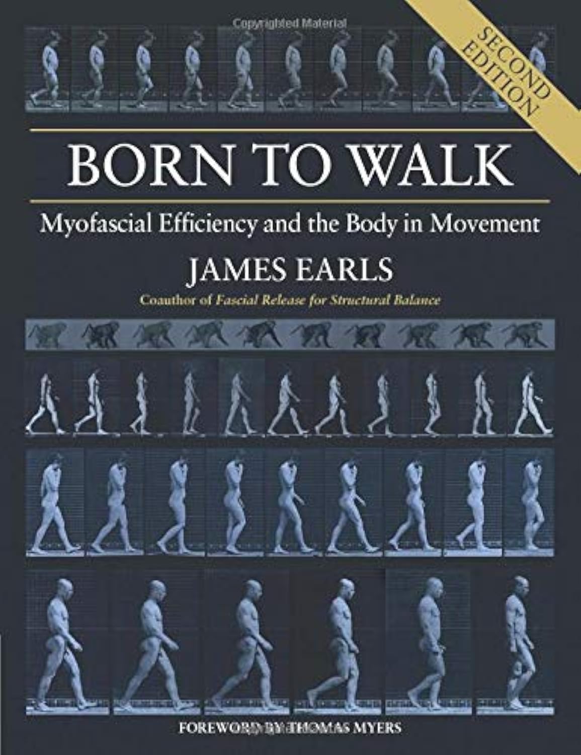 Born to Walk : Myofascial Efficiency and the Body in Movement