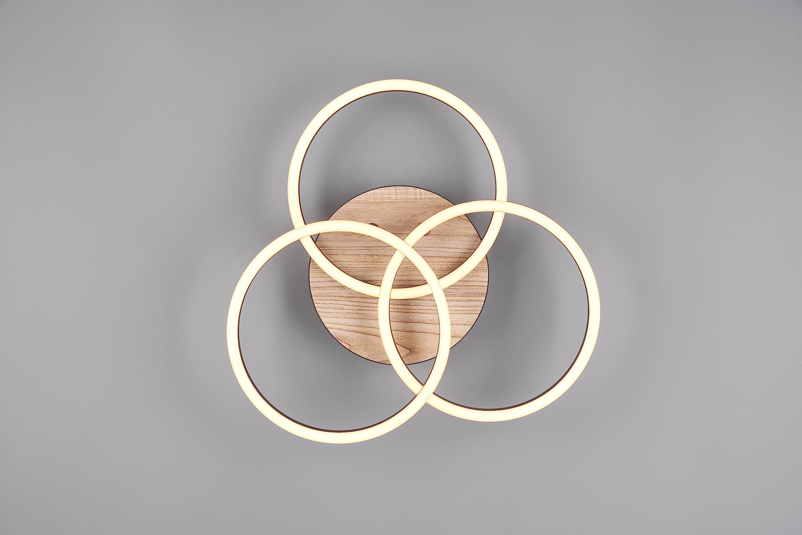 Reality, Lámpara de techo, Circle incl. 1xLED