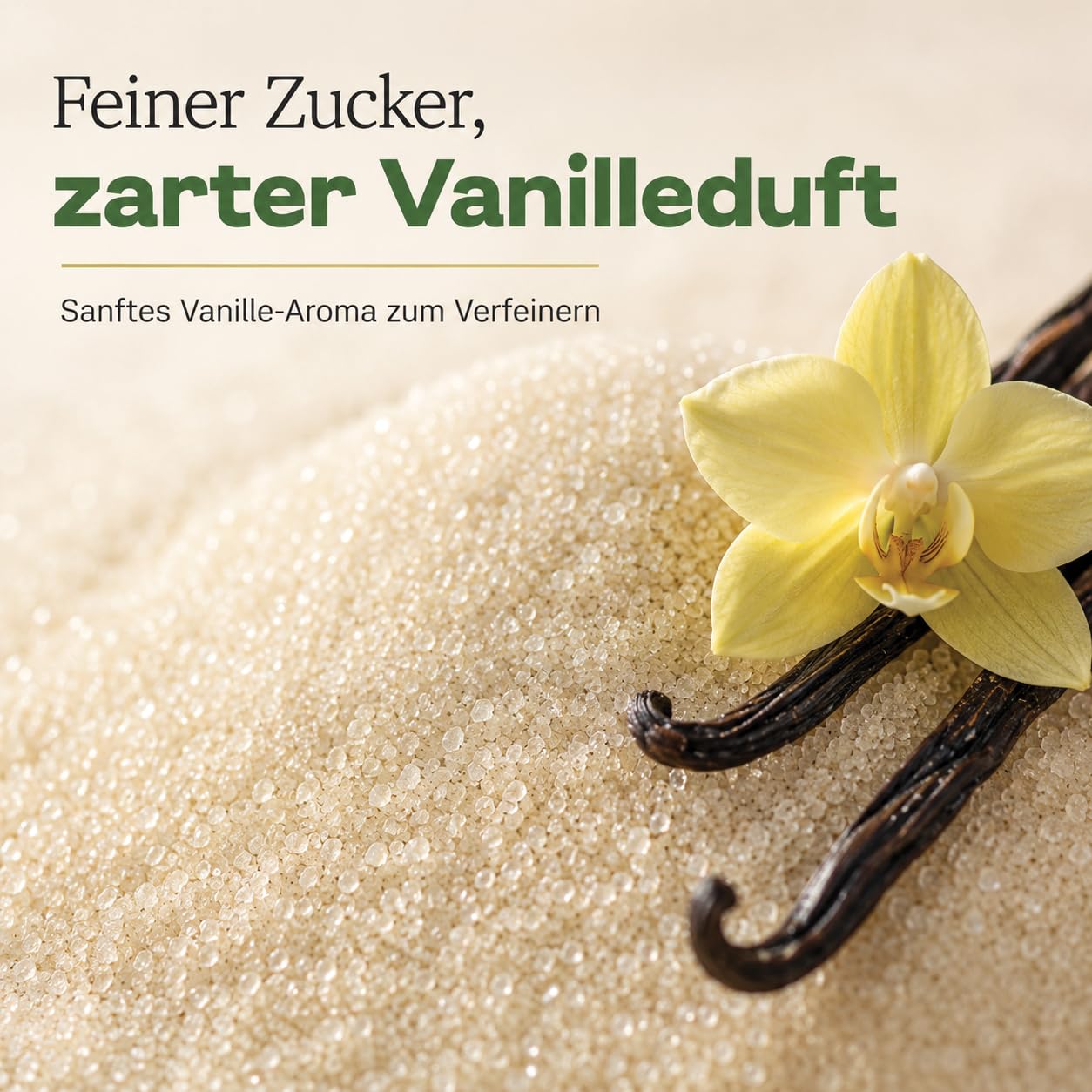 GiDeli Vanillinzucker 3x5kg - Feiner Vanillezucker zum Backen mit zartem Vanille Aroma - Vanillin Zucker für Kuchen, Plätzchen, Desserts, Sahne & Kaffee - Pure Süße - Vegan