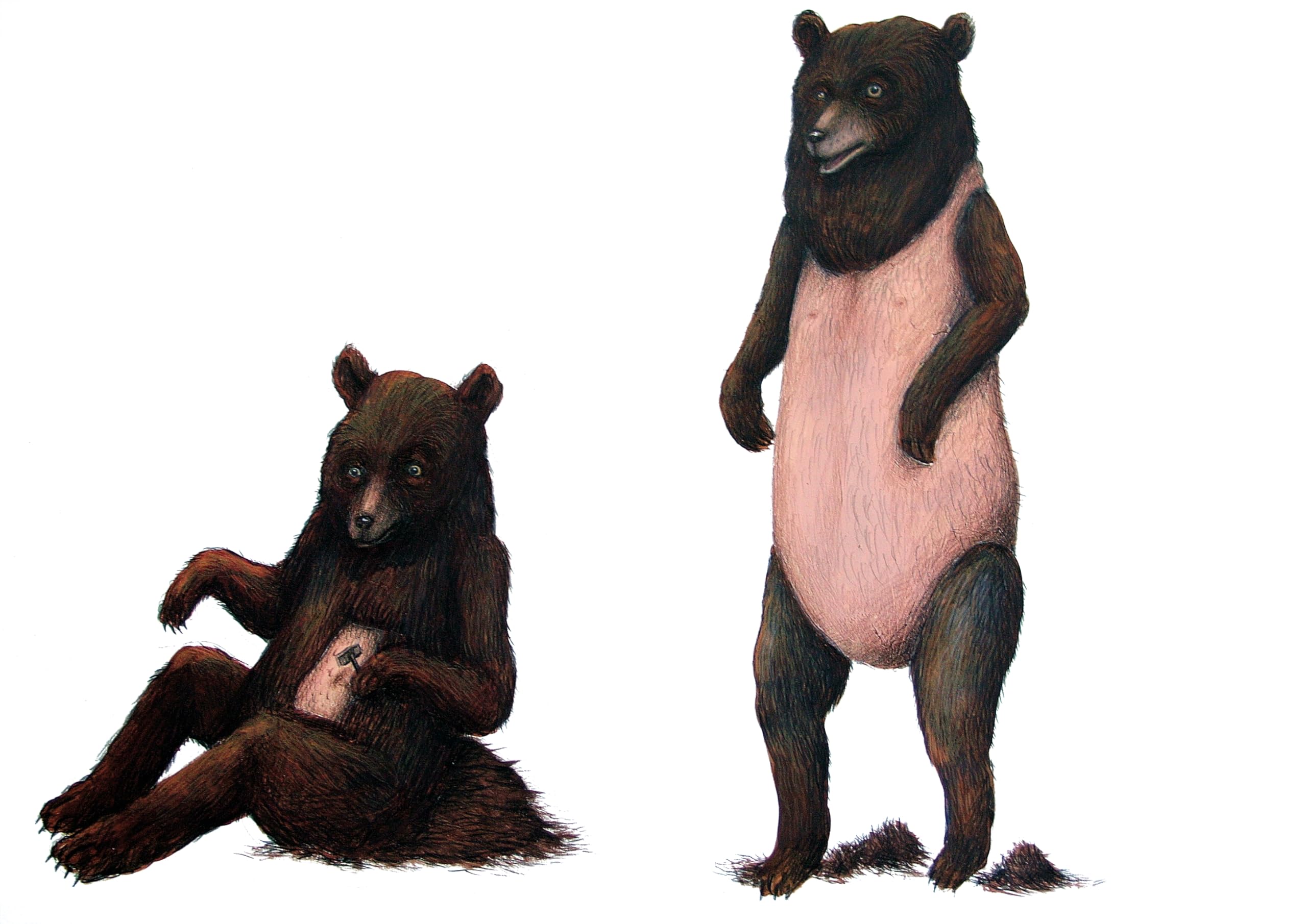 Il numero delle bestie. Ediz. illustrata