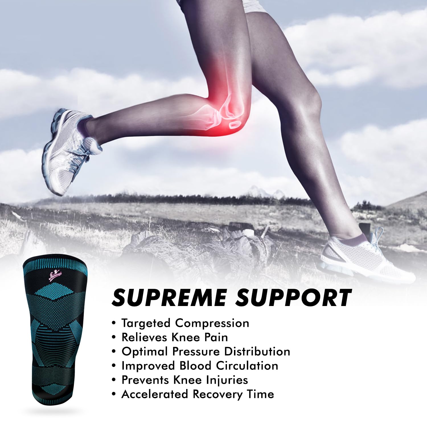 Flamingo Plus Super Premium Knee Cap for Men & Women | Compression Knee Support for Sports, Gym, Arthritis, Pain Relief, Injury Recovery | Anti-Slip, Breathable - Black & Dazzling Blue | Large 2