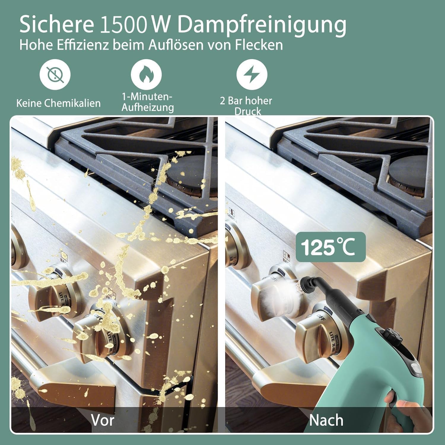 RELAX4LIFE Dampfreiniger Handgerät, Handdampfreiniger mit 13 Zubehör (Grün)