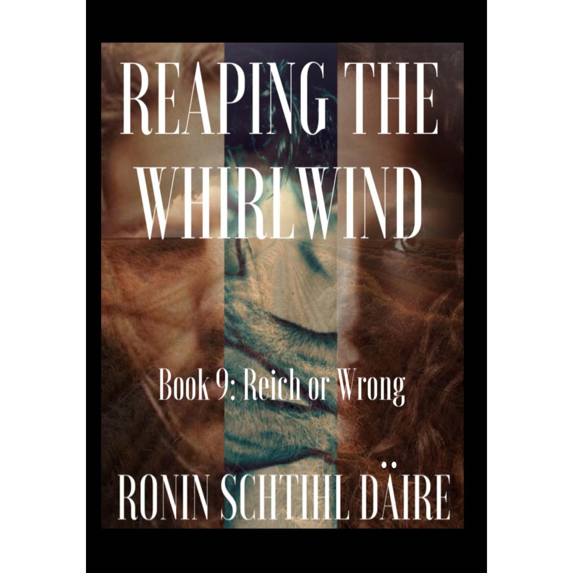 Reaping The Whirlwind: Book 9 - Reich or Wrong