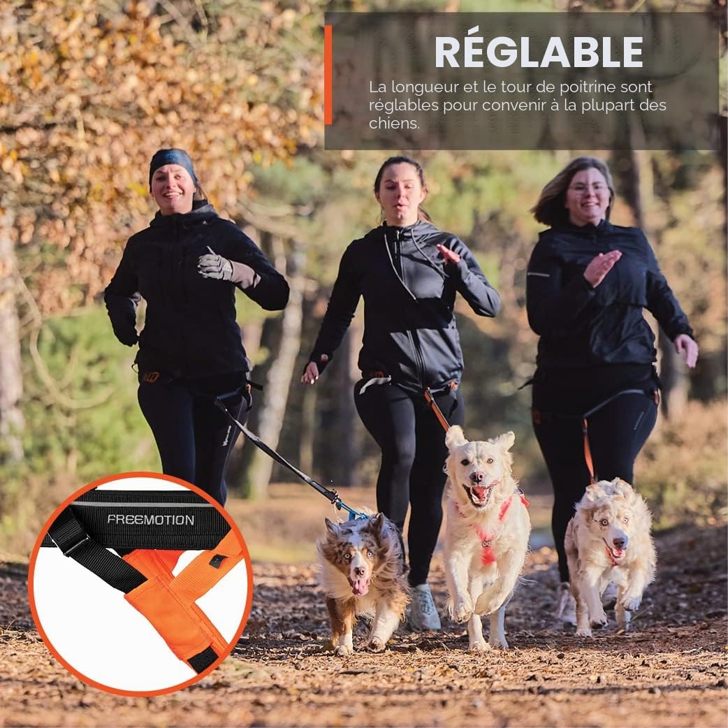 Non-stop dogwear Freemotion Harness 5.0 est Un Harnais de Traction pour Chien pour Les Sports comme la Course, Le vélo et Le Ski avec Les Chiens, Harnais Professionnel réglable. Orange/Noir, Taille 4