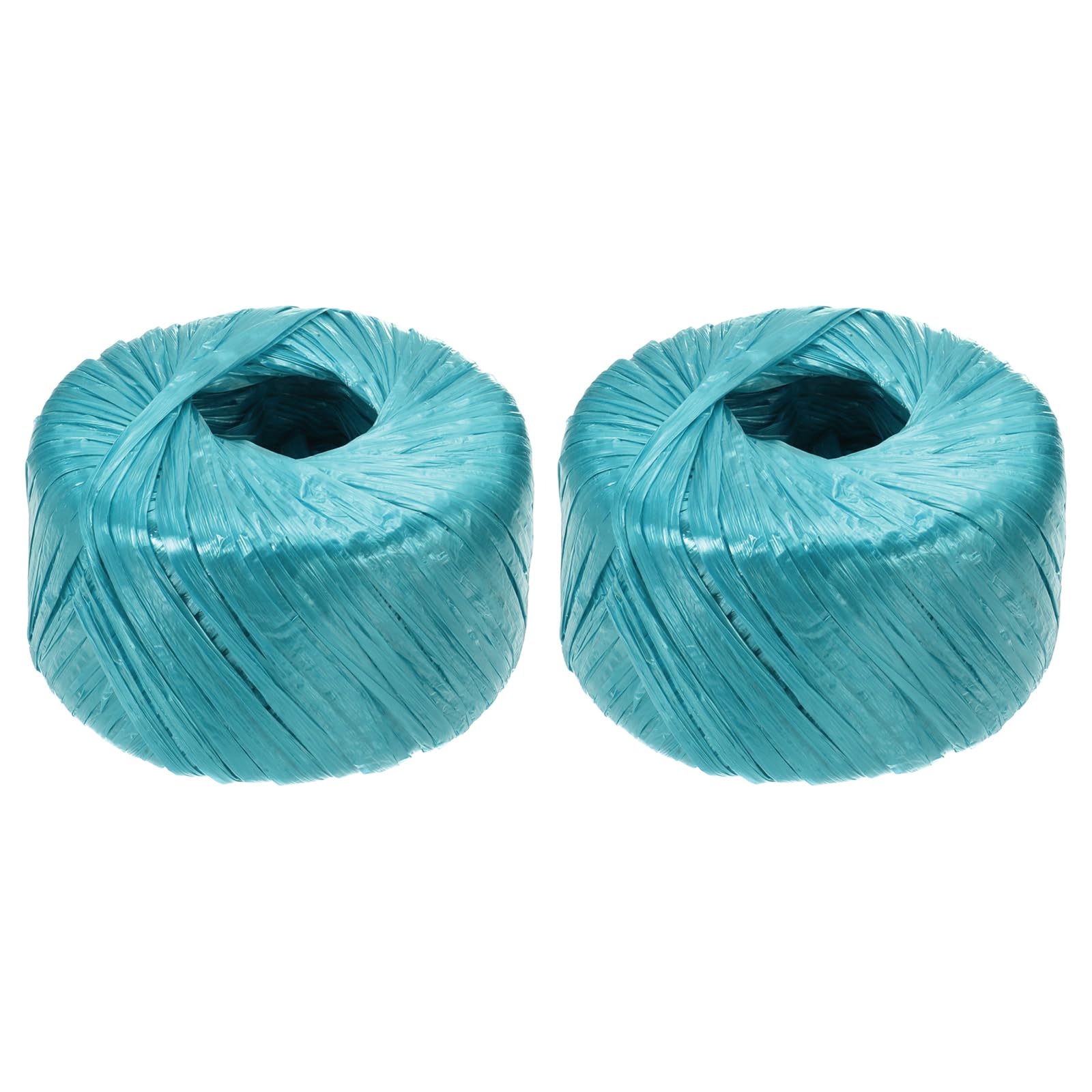 sourcing map 2 Rolls Polyester Nylon Plastic Rope Twine, 100m/328ft Nylon Cord Household Bundled Polypropylene Twine Yarn for Household Gardening Tying Binding Garden Crafts, Blue