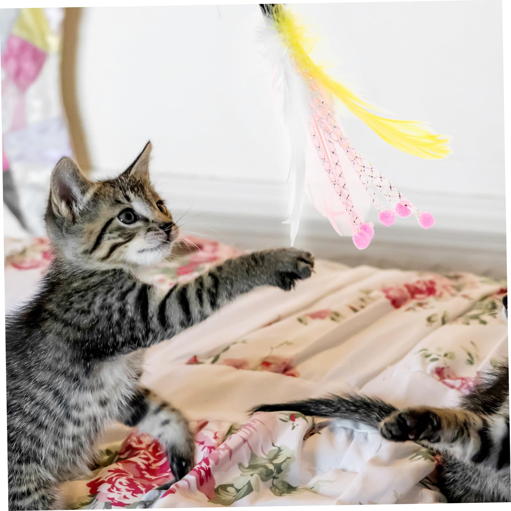 40stücke Teiliges -spielzeugset Für Katzen Austauschbare Katzenangel- Für Aktives Und Training Fördert Und Katzen