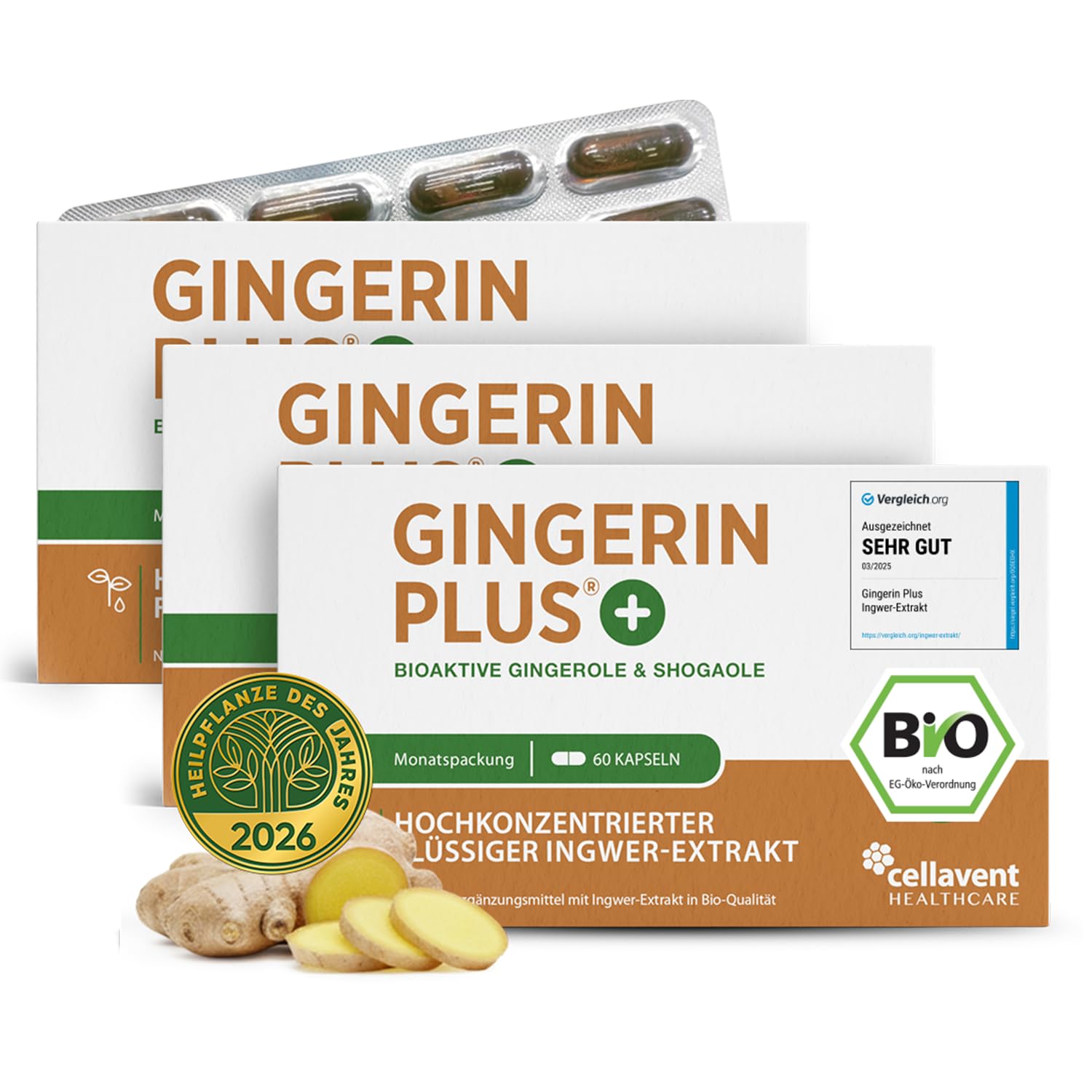 Stärkste Bio Ingwer Kapseln - 22.000mg Ingwerpulver pro Tagesdosis - höchste Gingerol & Shogaol Werte - 2 Kapseln Gingerin PLUS liefern den gleichen Ingwer Gehalt wie 33 andere Ingwertabletten