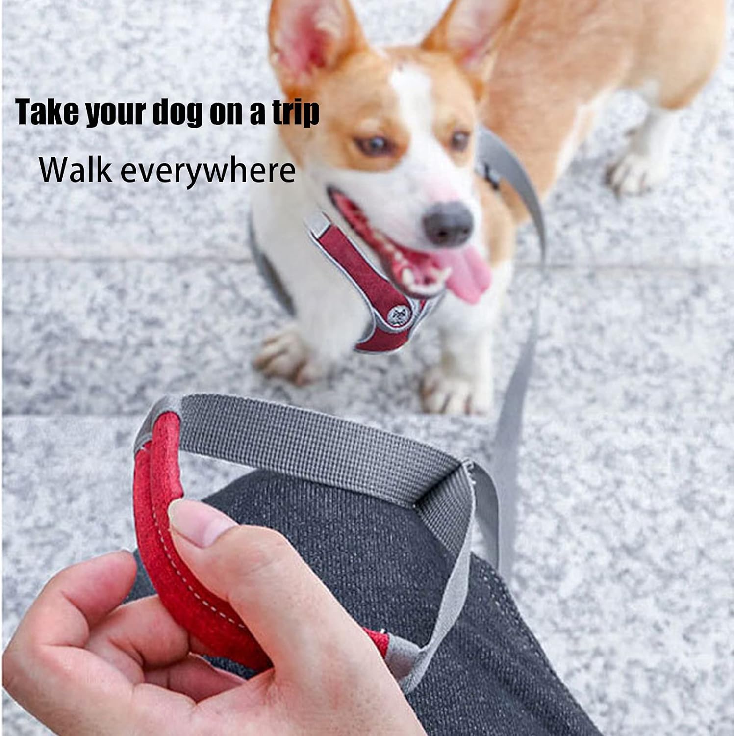 SKXEO Dog Harness Small Dog No Pull Harness and Lead Set Adjustable Breathable Reflective Lightweight Pet Vest Harness Escape Proof Dog Harness Easy Control for Outdoor Walking Training - Image 4