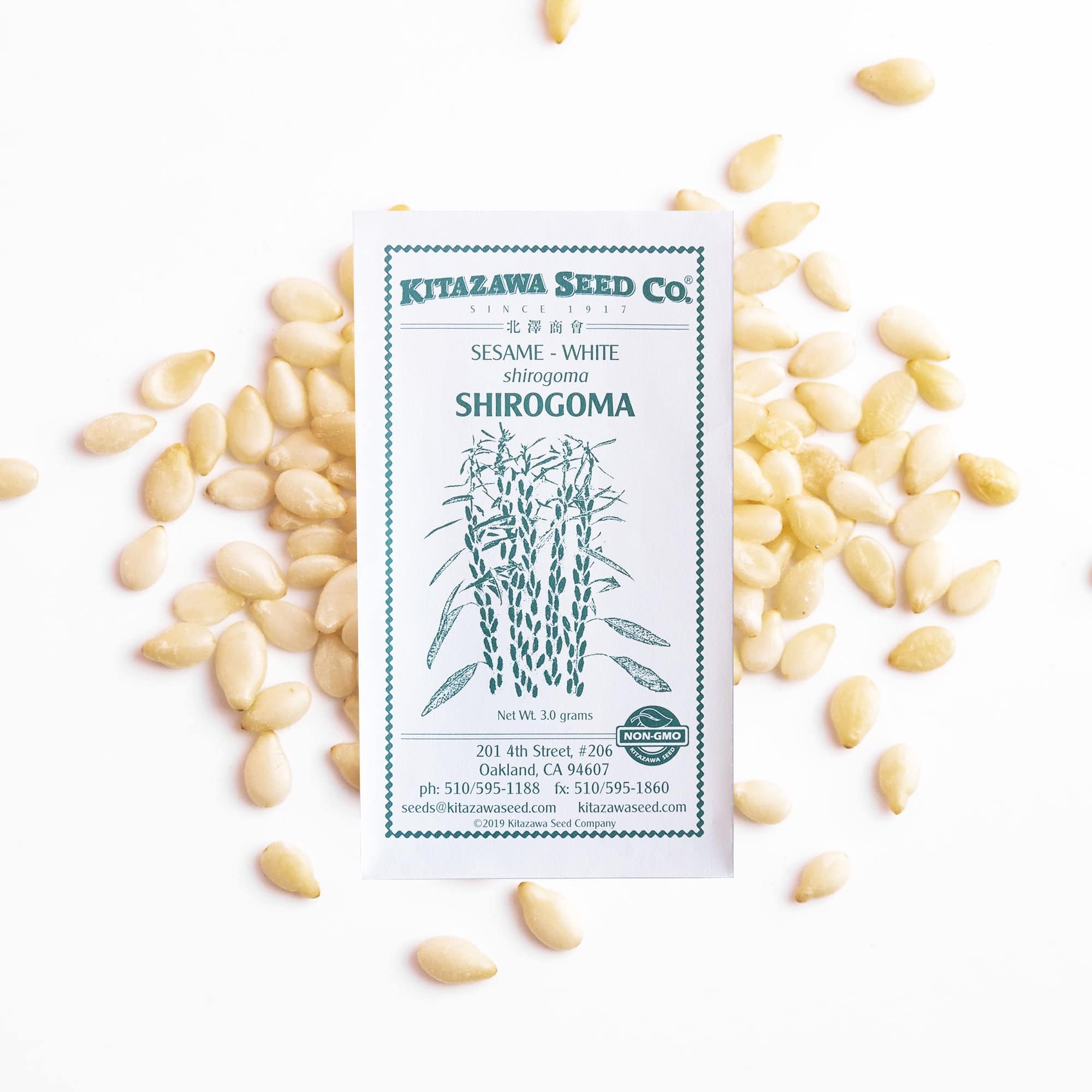 Sesame Seeeds - White - Shirogoma -3 g Packet ~1362 Seeds - Non-GMO, Heirloom - Specialty Seeds