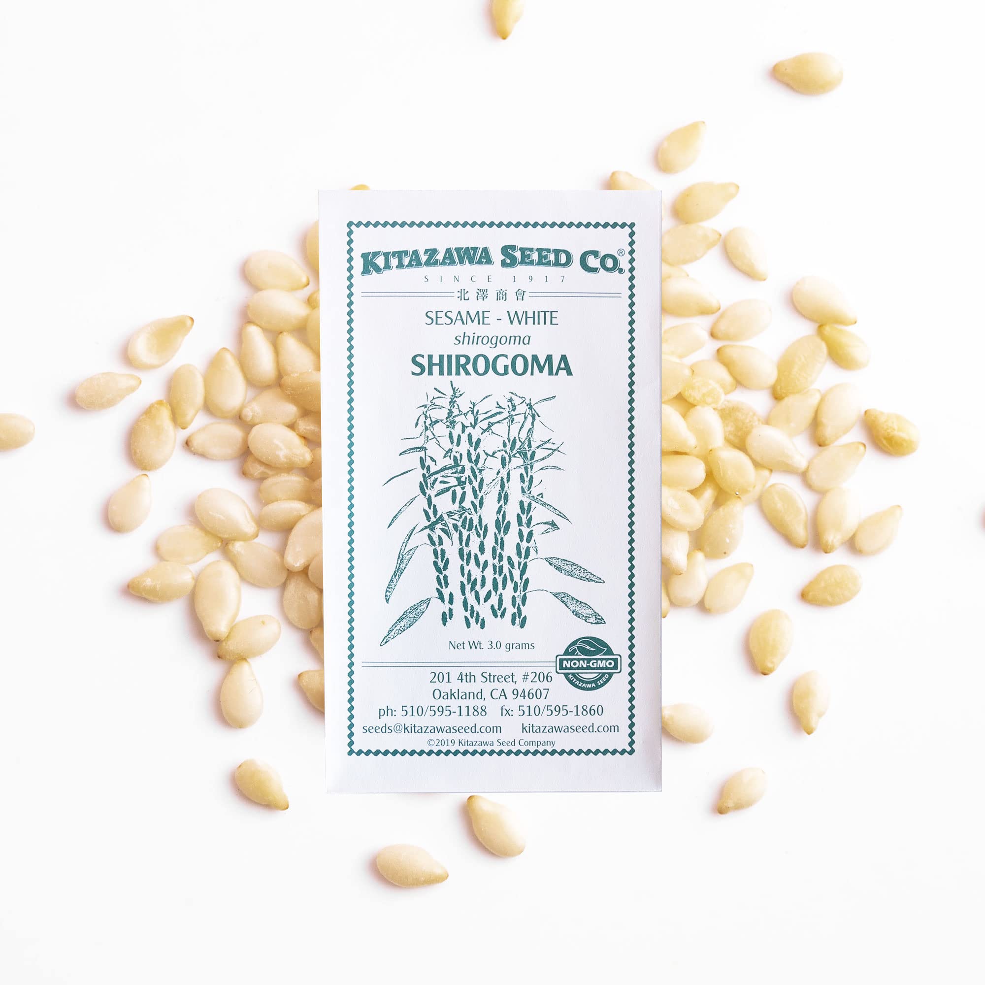 Amazon.com : Sesame Seeeds - White - Shirogoma -3 g Packet