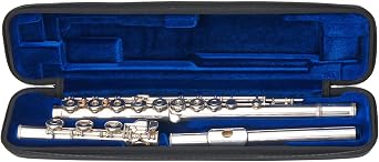 Protec Micro ZIP Flute Case