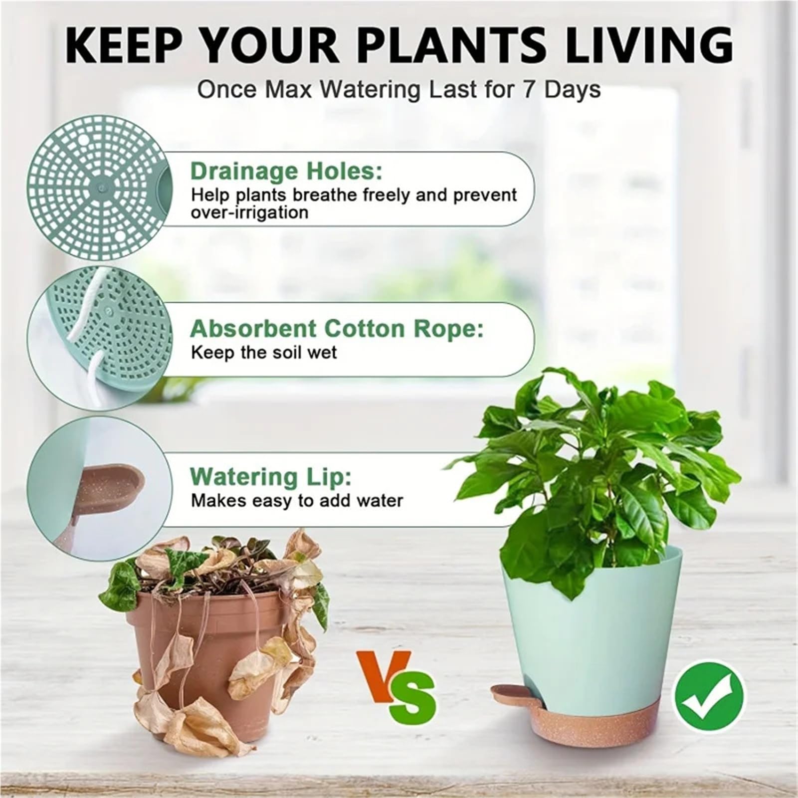 Pot de Fleur Jardinières à arrosage Automatique avec Trou de Drainage, Pot Plantation pépinière en Plastique 7/6, 5/6/5, 5/5 Pouces, 5 pièces(S-5PCS)