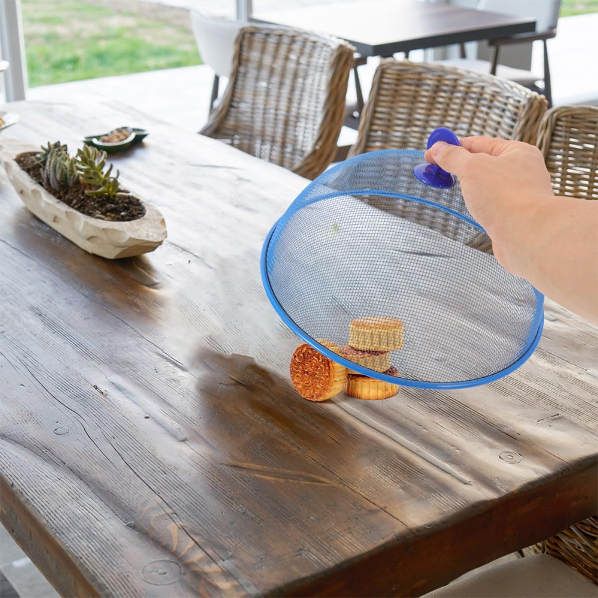 Ciieeo 2pcs Mesh Food Dome Covers 24cm Metal Mesh Screen Food Protectors for Indoor and Outdoor Use Tents for Picnic and Party Serving