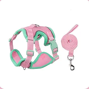 Cat Harness and Leash Set for Walking – Escape-Proof Reflective Vest for Cats and Small Dogs, Adjustable Soft Air Mesh with Pressure-Reducing Design, 4.92ft, XL, Green & Pink