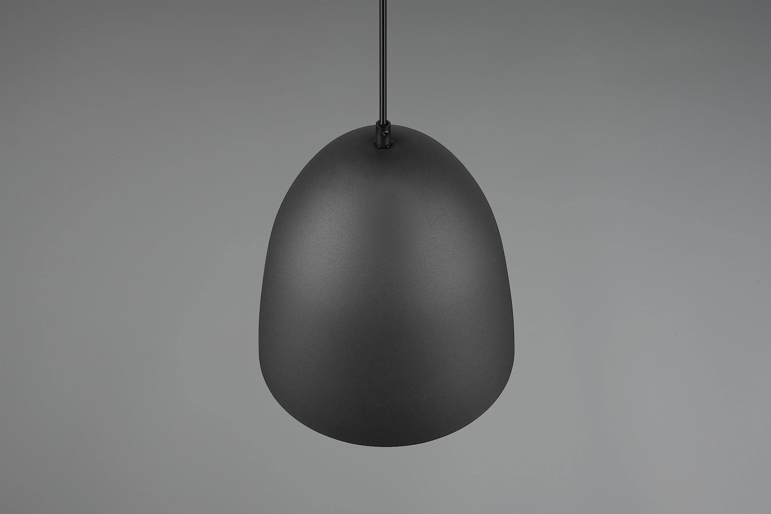 Reality Leuchten Pendelleuchte Tilda R30661080, Schirm Metall Schwarz matt/goldfarbig, exkl. 1x E27