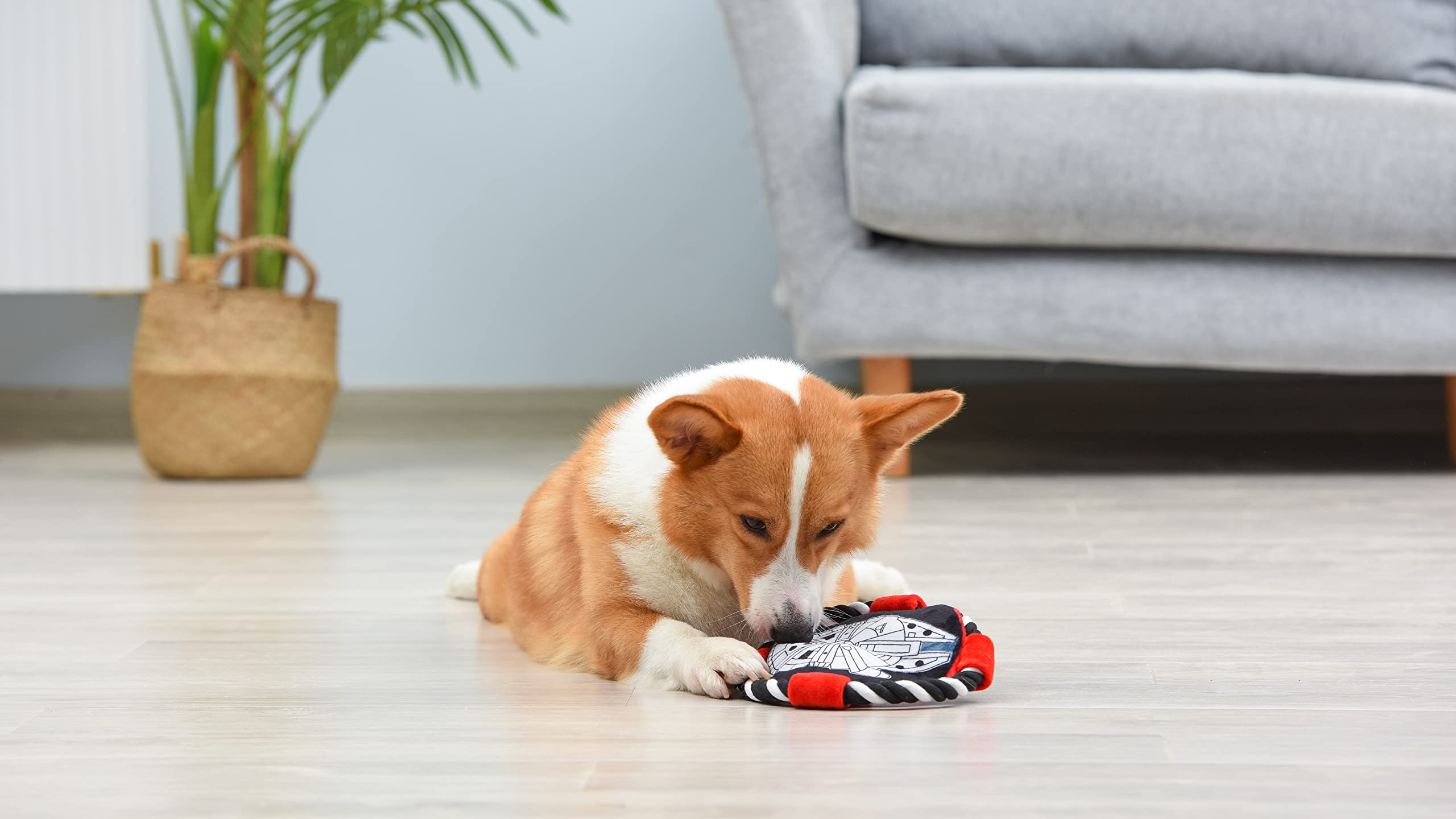 Star Wars per animali domestici Millennium Falcon Rope Frisbee giocattolo per cani | Giocattolo da masticare Millennium Falcon per cani Giocattoli per cani, Frisbee per cani, Giocattoli da tirare per