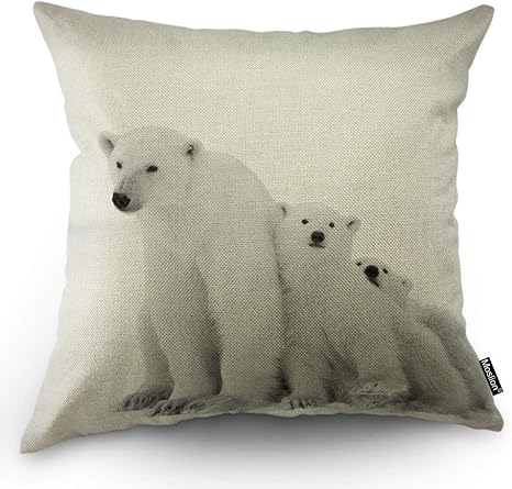 bear pillow amazon