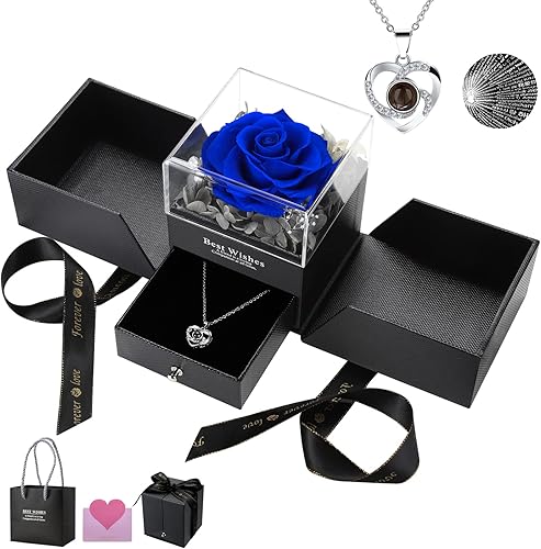 WALFITE Regalos de San Valentín para ella para esposa, regalo de flores de rosas para ella, rosa preservada con collar, regalos románticos para