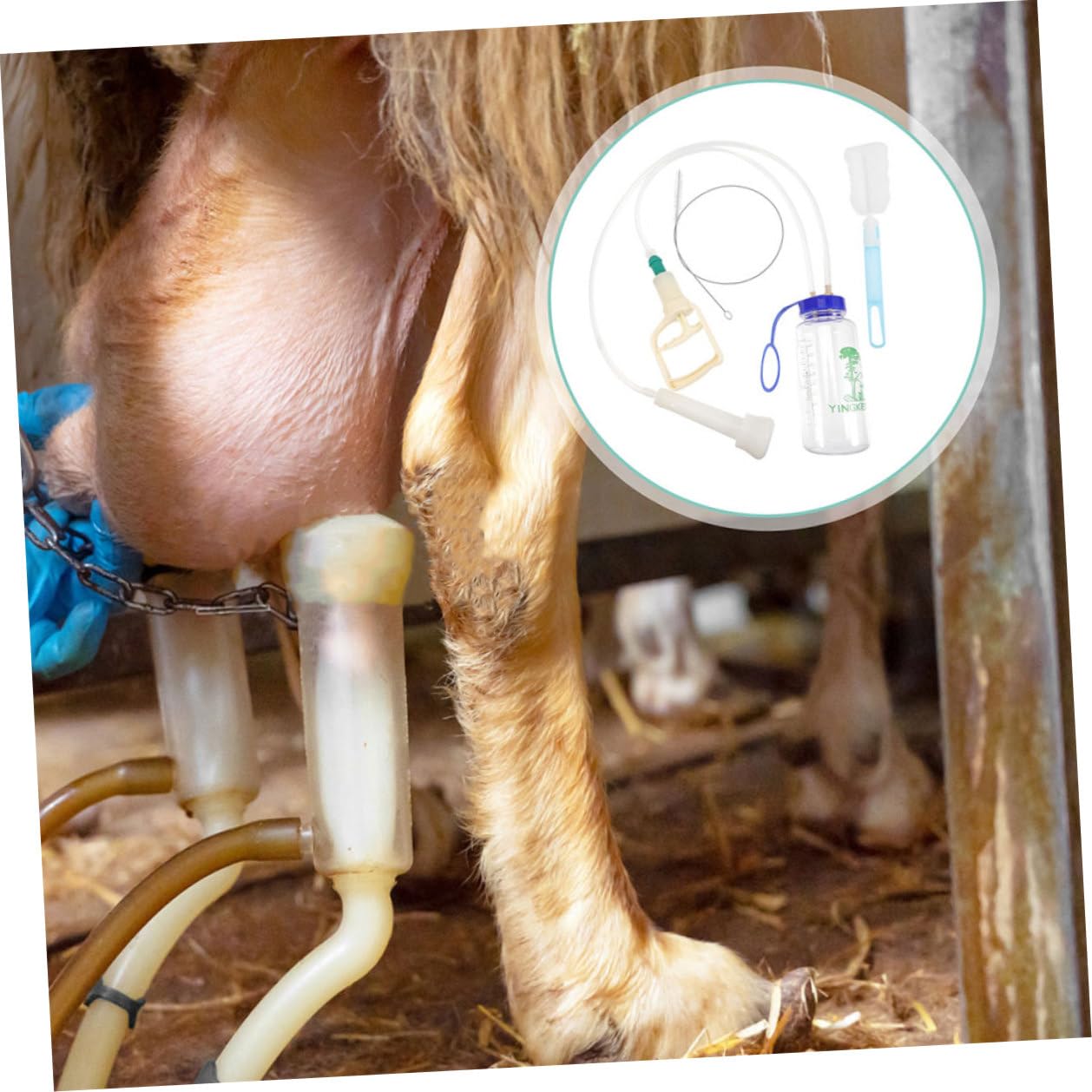 Mungitrice manuale per pecore Pompa a mano Mungitrice portatile per uso agricolo con tazza singola e pompa a vuoto - Forniture per mungitura di mucche e capre in plastica, accessorio per la