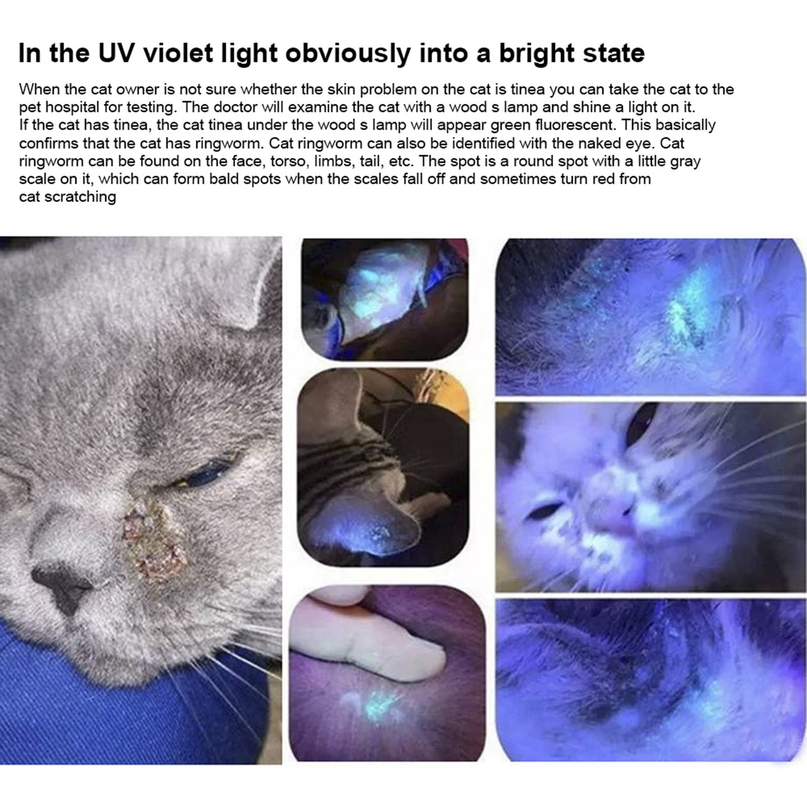 Lámpara De Madera Veterinaria Detección De Hongos para Mascotas Linterna a Prueba De Agua Piel Luz Ultravioleta Cat Moss Tinea Light 365 UV Espejo Negro, Luz De Detección De Musgo De Gato