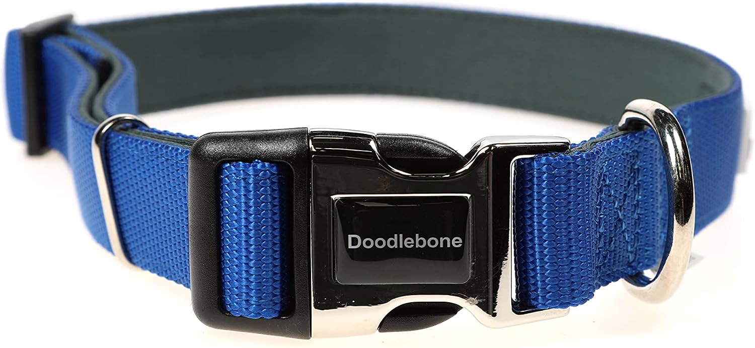 Doodlebone, Padded Dog Collar, Adjustable Breathable Comfort Collar with Reflective Stitching - Image 3