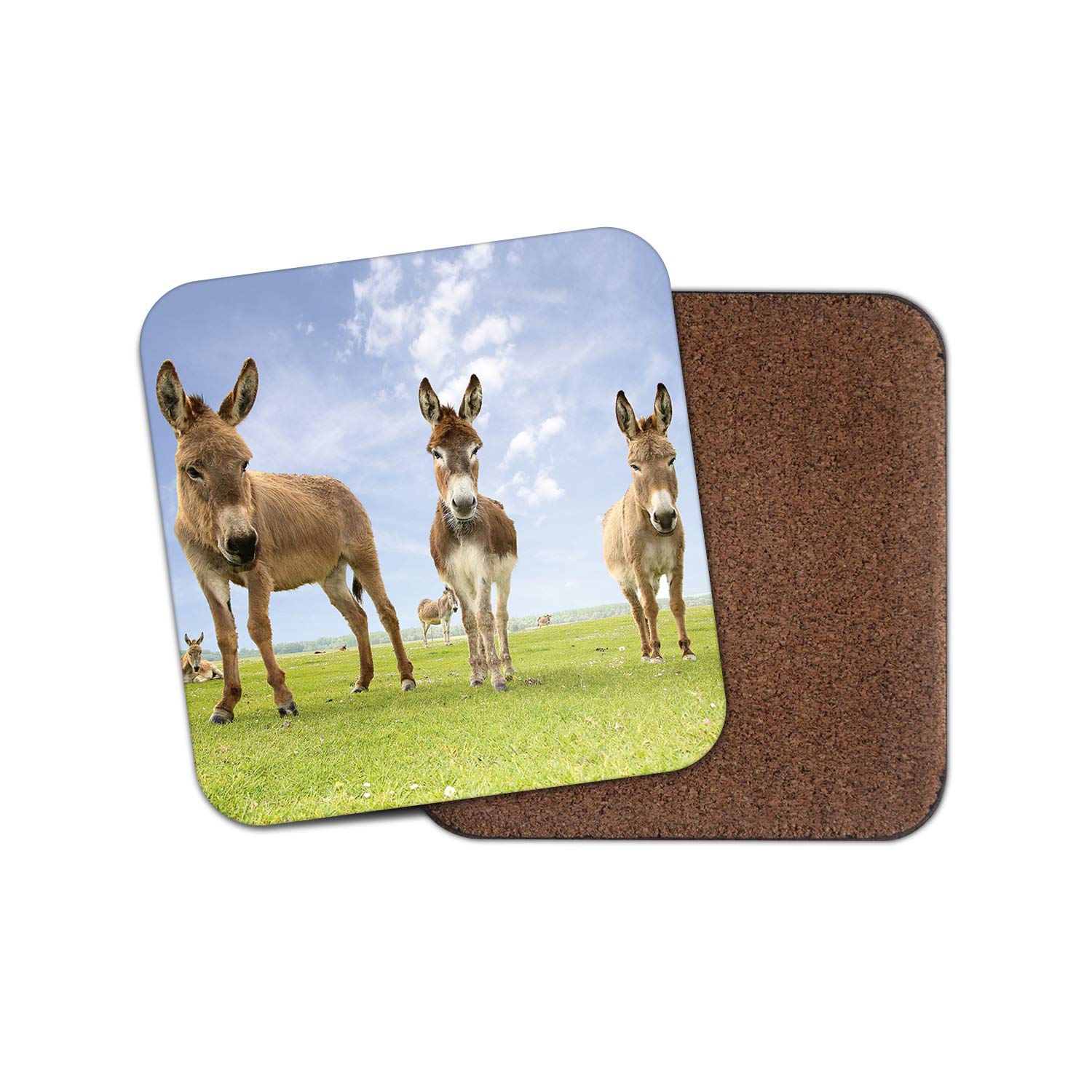 1 x Cute Donkey Coaster - Horse Farm Animals Funny Mum Daughter Sister #15389