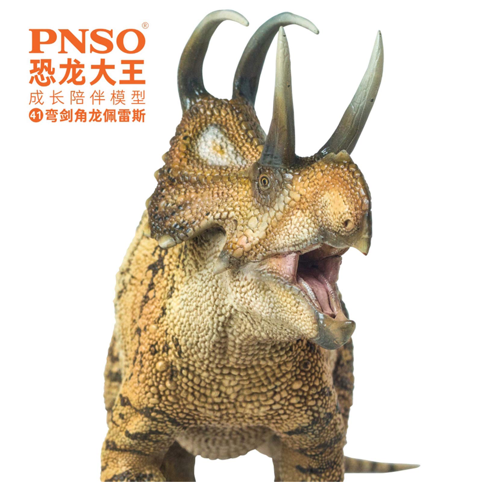 Amazon | PNSO 成長シリーズ 41 マカイロケラトプス 恐竜