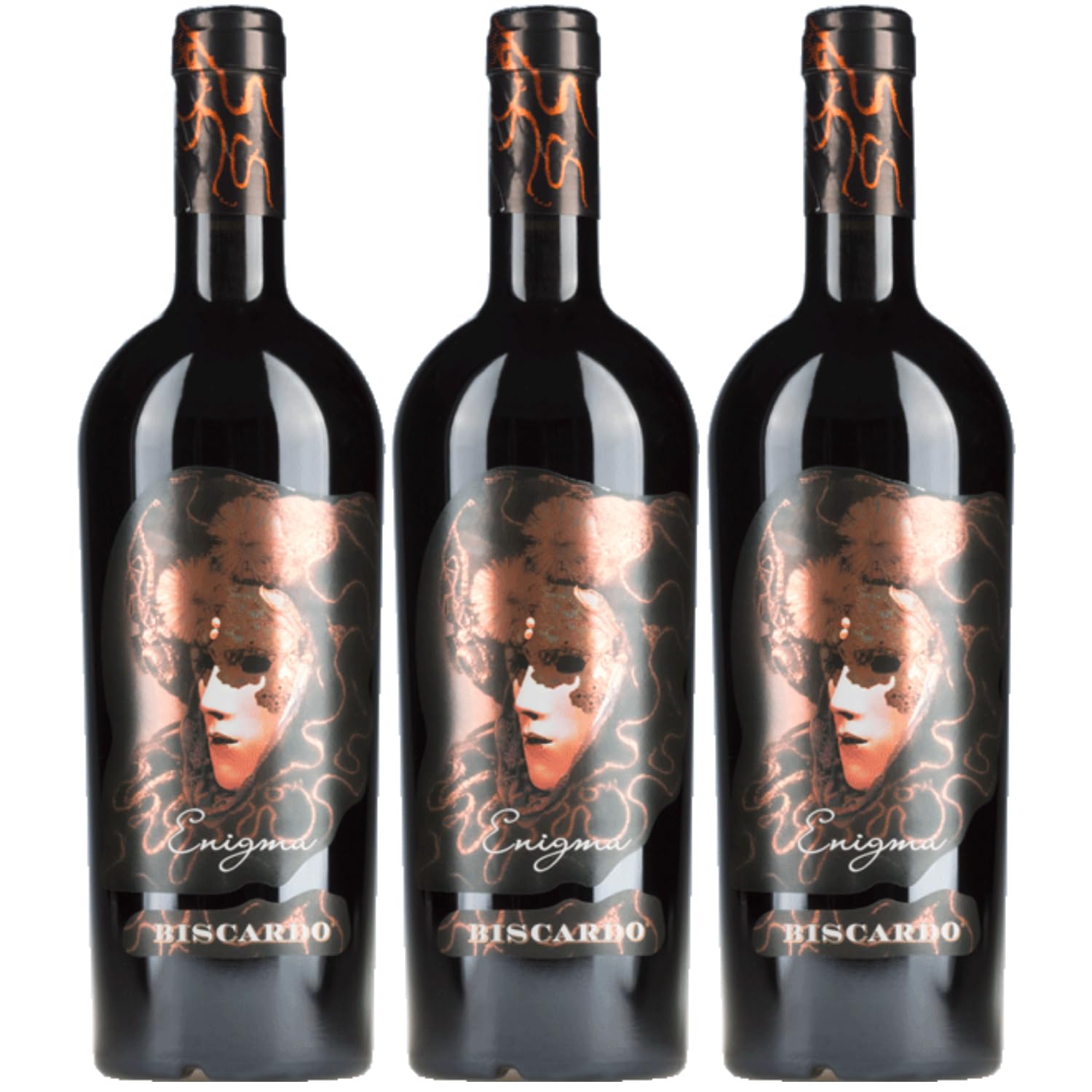 Biscardo Enigma Appassiment Sangiovese Rubicone Veneto halbtrocken Rotwein Rot Trocken Italien inkl. FeinWert E-Book (3 x 0,75l)